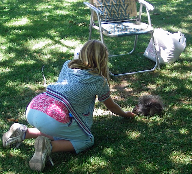 IMGP8560-Feeding The Squirrel